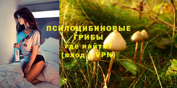 дживик Алексеевка