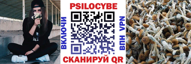 Галлюциногенные грибы прущие грибы  Славск 